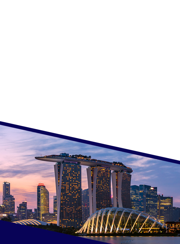 Singapore website mobile banner